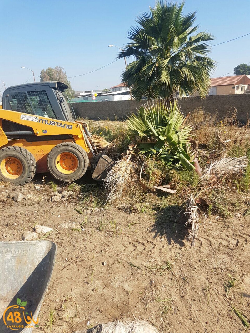 lud maqbra tjndefe (33).jpg